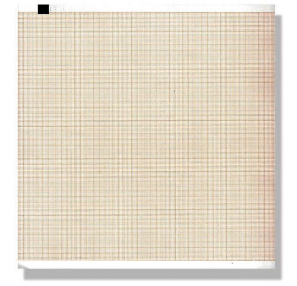 Torinomed - Carta termica in risma compatibile per ECG Esaote Archimed 4210 - Conf. 10 risme Torinomed - Carta termica in risma compatibile per ECG Esaote Archimed 4210 - Conf. 10 risme