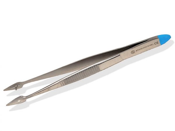 38885 TORINOMED - Pinza SPLINTER sterile - 12,5 cm. - GIMA - conf. da 25 pz. sterili