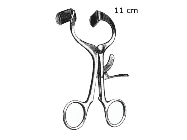 APRIBOCCA MOLT - 11 cm - TORINOMED