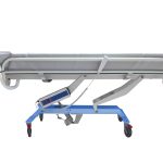 CARRELLO DOCCIA - elettrico BARELLA DOCCIA - elettrica