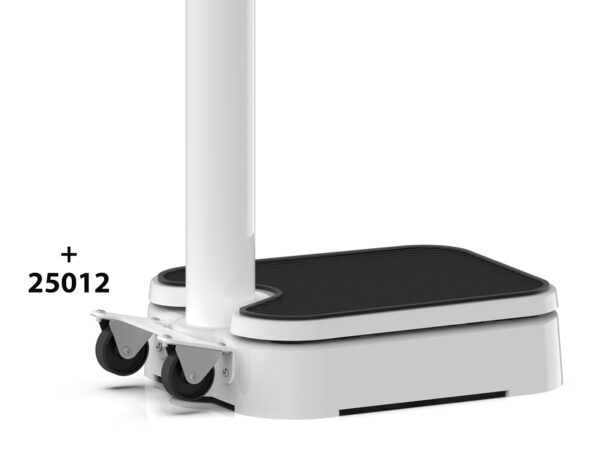 PESAPERSONE MECCANICA A COLONNA PROFESSIONALE WUNDER R150A 150 kg - Classe IIII