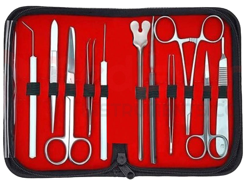 KIT DISSEZIONE IN ACCIAIO INOX AISI 202 PER ESERCITAZIONE - 11 pezzi KIT DISSEZIONE IN ACCIAIO INOX AISI 202 PER ESERCITAZIONE - 11 pezzi - TORINOMED