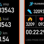 ACTIVITY HEALTH TRACKER FITBAND PLUS