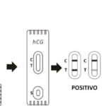 TEST HCG - GRAVIDANZA -TORINOMED