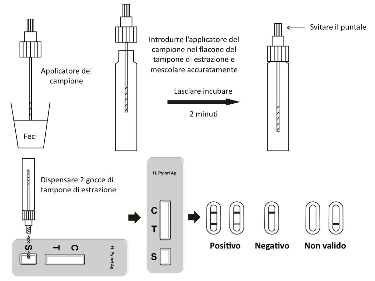 TEST HELICOBACTER PYLORY TEST HELICOBACTER PYLORY CONFEZIONE 20 TEST - TORINOMED