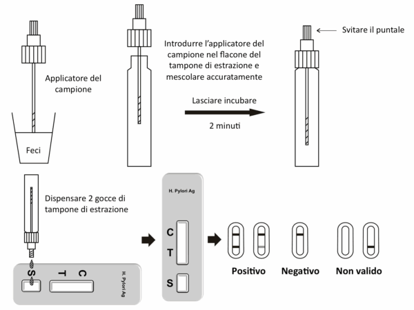 TEST HELICOBACTER PYLORY TEST HELICOBACTER PYLORY CONFEZIONE 20 TEST - TORINOMED